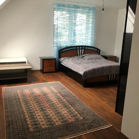 Sanela Apartment Neunkirchen